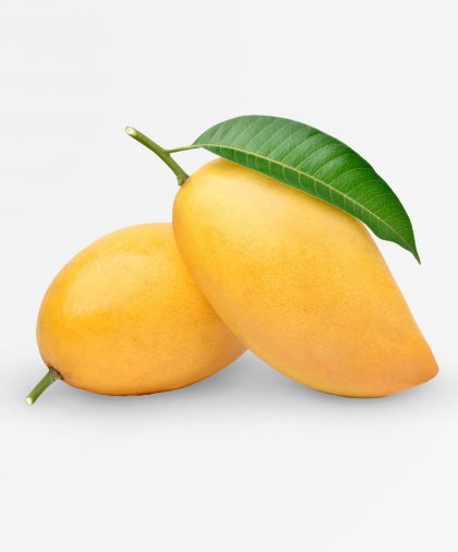 Descubre mangos jugosos y premium con Zayma. Sabores exóticos y calidad insuperable, disponibles ahora. ¡Tu mejor elección para mangos!