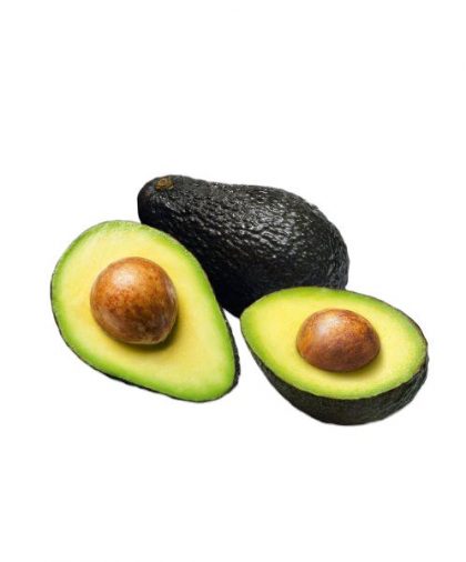 Aguacate / Avocado